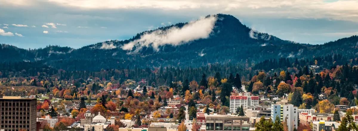 Painting professionals at work